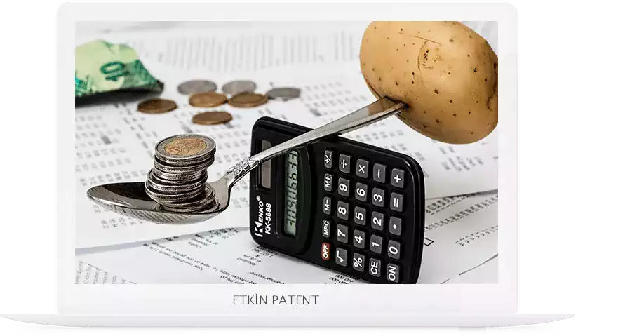 finansal davranışlara dair kombinasyon modeller-Elazığ Patent